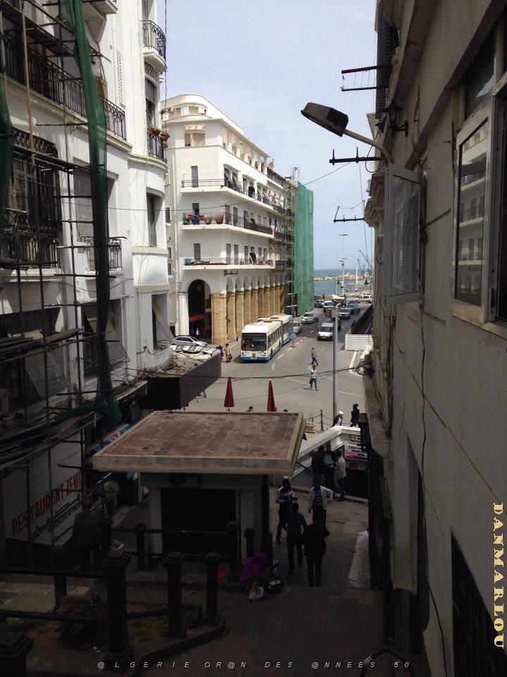 Alger 5.jpg